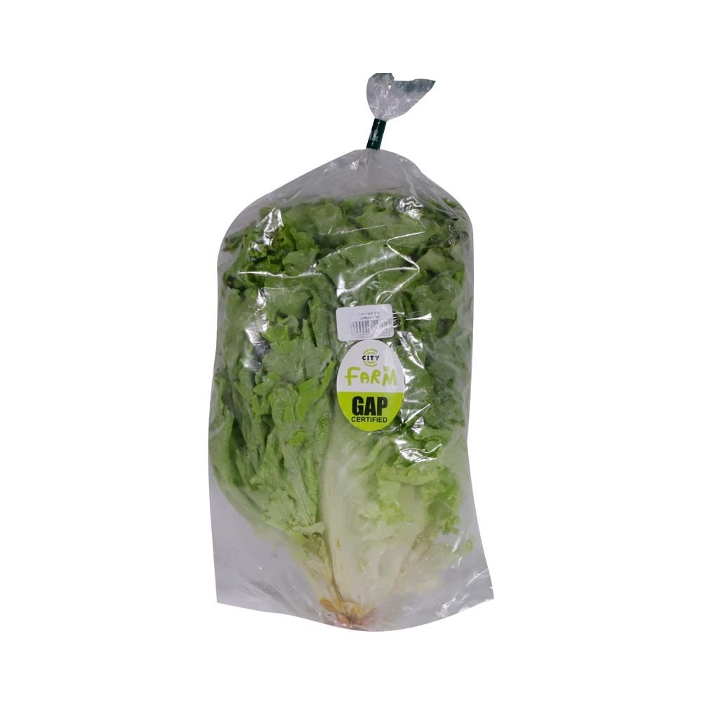 City Farm Gap Lettuce 300G