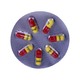 Lipicard Fenofibrate 200MG 7Tablets