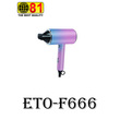 81 Electronic Hair Dryer  F666