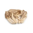 Kokoro Silver Snow Mushroom 200G