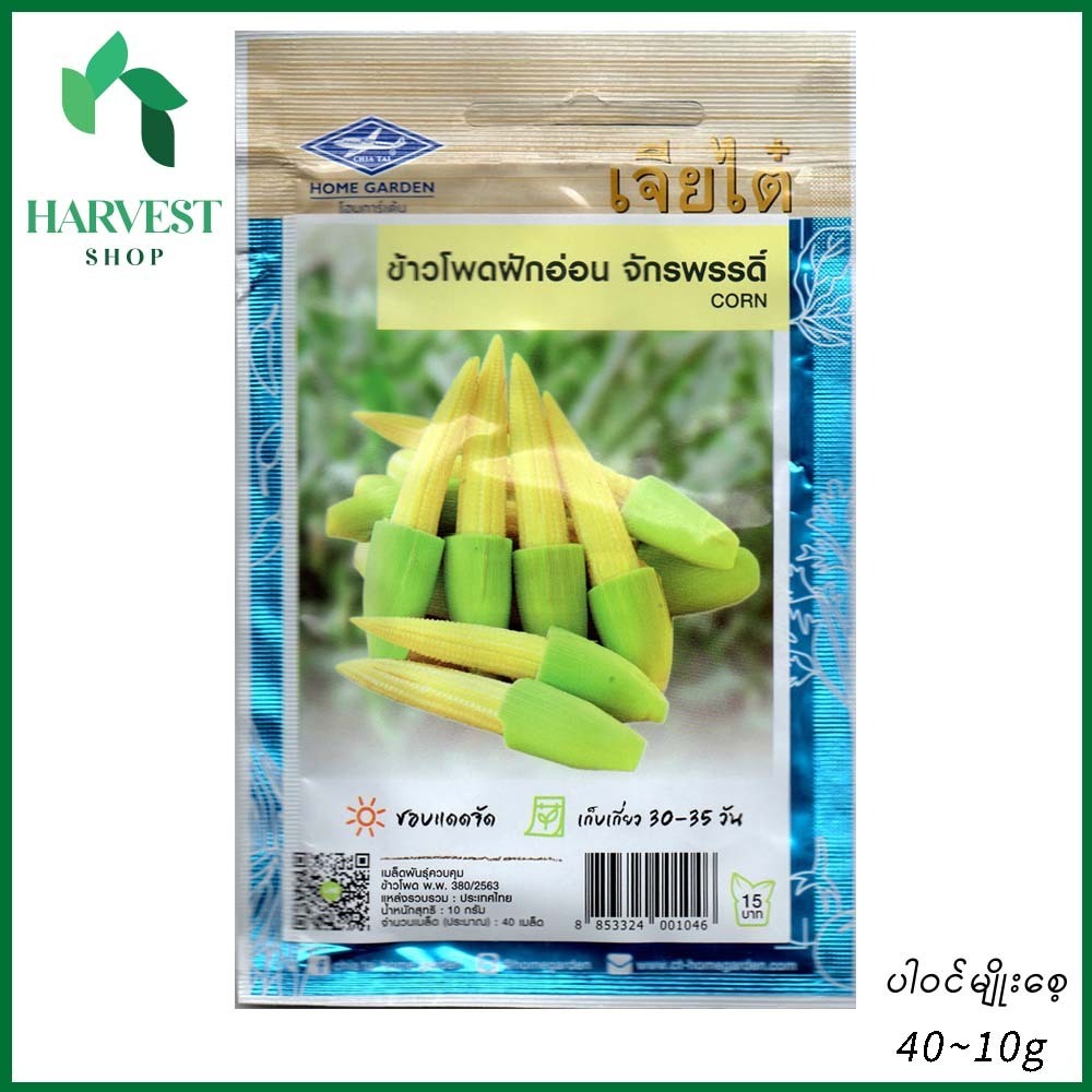 Harvest Shop ပြောင်းဖူး-အသေးမျိုးစေ့ CN 001