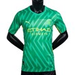 Manchester City Goal Keeper Fan Jersey 23/24  Green (XL)