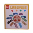 Life Cycle 3D Wooden Card