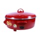 Hanabishi Electric Frying Pan HEP-14