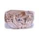 Kokoro Silver Snow Mushroom 200G