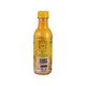 Asia Delight Mango Juice 250ML (Bot)