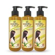 Bio Natural Sayar Bio (Kyankhin) Natural Shampoo Set