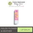 Yves Rocher Lip Balm Fields' Flower 4,8G Stick - 90294