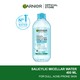 Garnier Micellar Cleansing Water Salicylic Acid BHA For Dull & Acne Prone Skin 400ML
