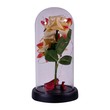 Light Table Decoration A021572