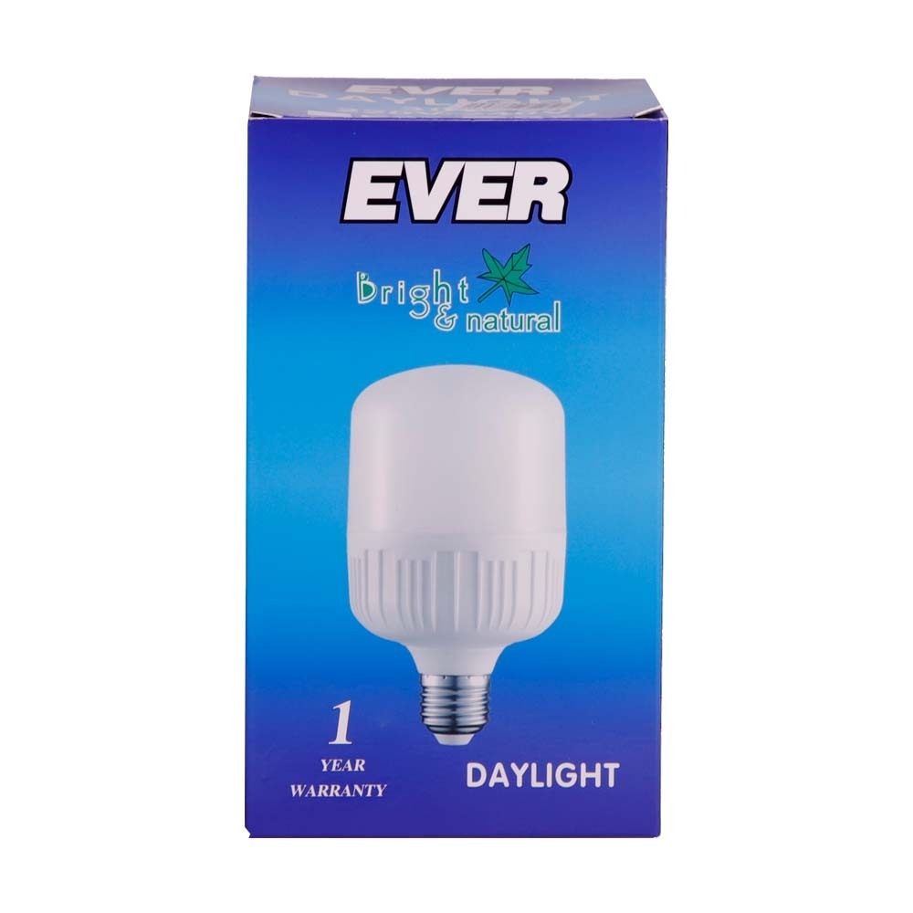 Ever Daylight Bulb 30W B22 (Pin)