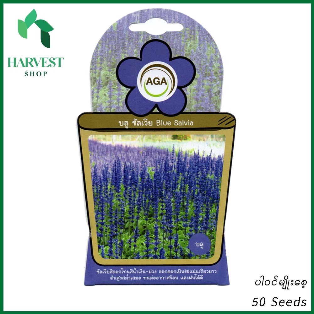 Harvest Shop ပင်စိမ်းပန်းပြာမျိုးစေ့ A 012