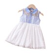 Toddler Girl Button Half Placket Lapel Neck Polka Dots Mesh Tank Dress 20649662