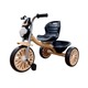 Baby Cele 602 3-Wheel Pedal Bike for Kids 12689