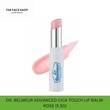 Thefaceshop Dr.Belmeur. Advanced Cica Touch Lip Balm-Rose 8806182589720