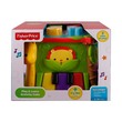 Fisher Price Play & Learn Activity Cube No.DNP32
