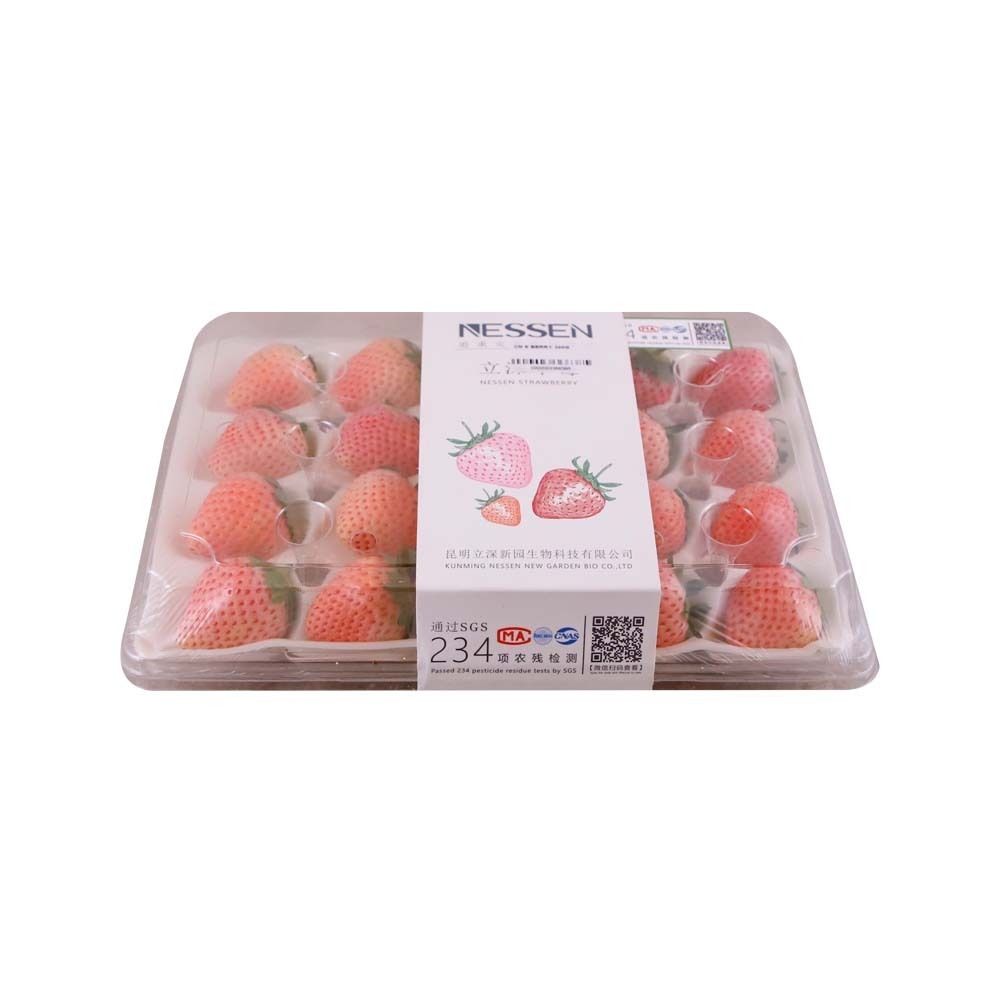 Cn Strawberry 300G