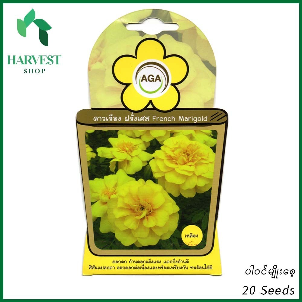 Harvest Shop ပြင်သစ်ထပ်တရာအဝါမျိုးစေ့ A 003