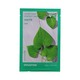 Innisfree Energy Mask Heartleaf Soothing 22ML