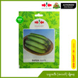East-West Seed – Cucumber – Super 113 F1 (VP-35 Seeds) 5G