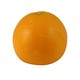 Sunkist Orange (L)