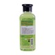 Bearing Cat Shampoo Dry & Sensitive Skin 250ML