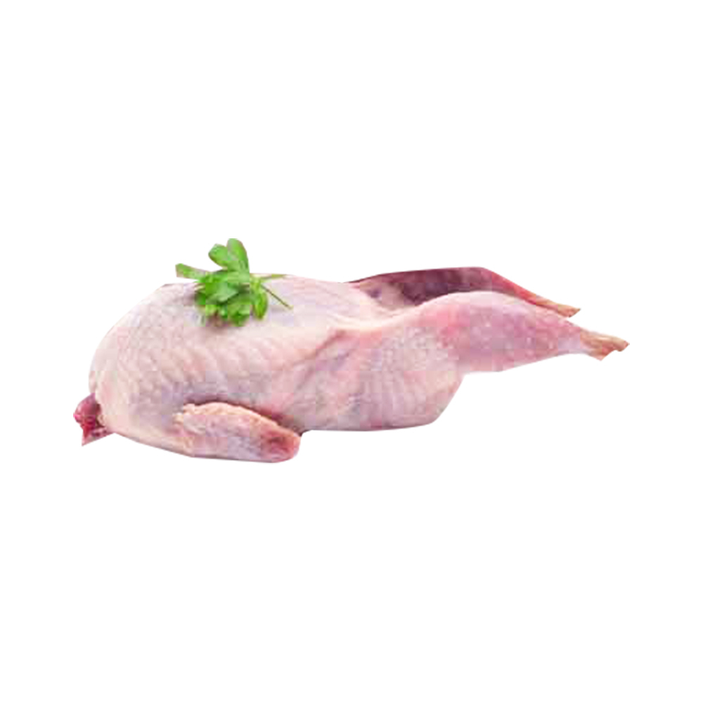 တောငုံး (MC)