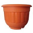 BABA BI-2013 Pot Cotta 6.4 x 4.7 IN