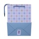 Bm Present Bag 13.5 x 24cm (S)