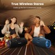 Tronsmart Mirtune S100 50W Portable Outdoor Speaker 24080024BK