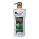 D Family Shampoo Anti-Dandruff 500ML