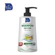 Beauty Clinic Olive & Egg Shampoo ( Hair Protein ) 500 ML