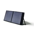 Foldable Solar Panel (100W)