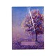 Royal Drawing Book P-80 70G 6PCS