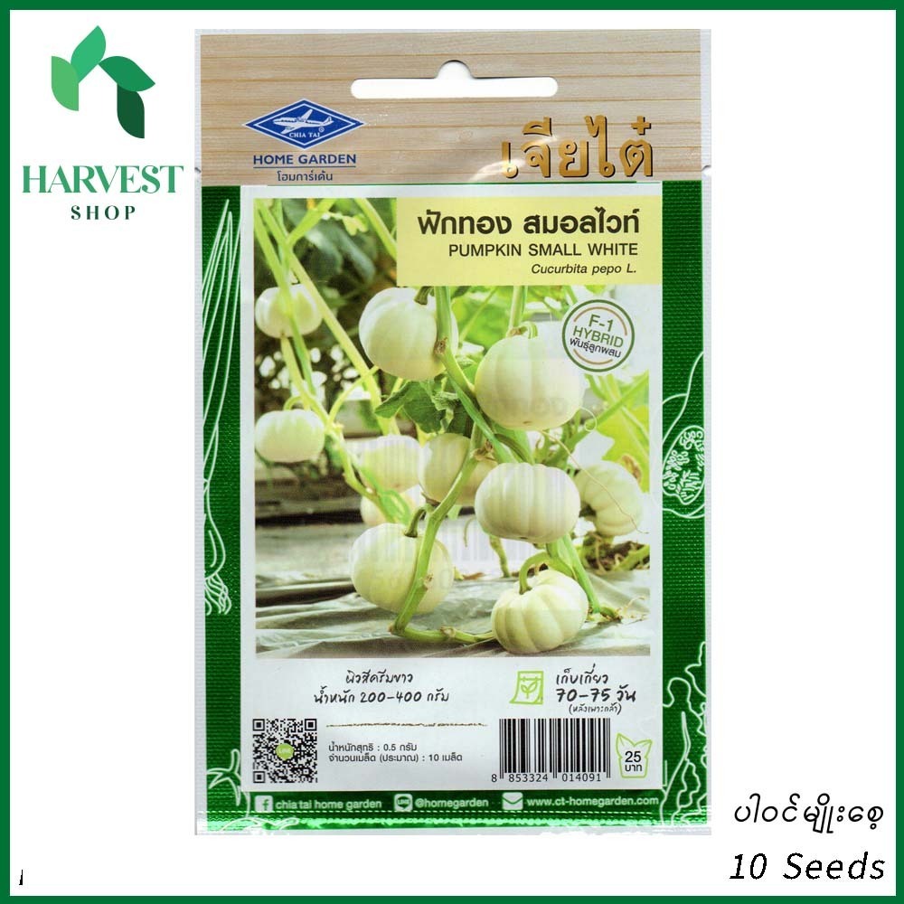 Harvest Shop ရွှေဖရုံဖြူအသေးမျိုးစေ့ HPK 004