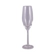 Ocean Sante Flute Champagne Glass 210ML 026F07
