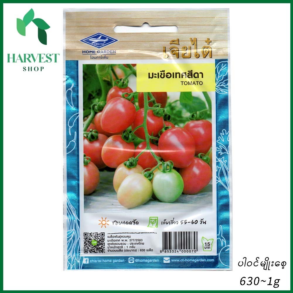Harvest Shop Seeda ခရမ်းချဉ်သီးမျိုးစေ့ TM 001