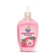 Excel Care Champion Anti-Bacteria Hand Wash 500ML (Cherry Blossom)